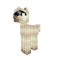Cool Llama