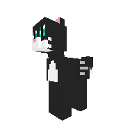 cat?
