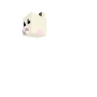 baby hamster