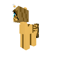 New Pony