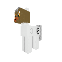 New Pony