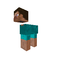 Steve Pony
