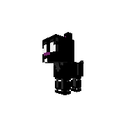 shadow lola as an animalitronic