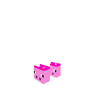 Pig Socks Base