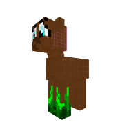 New Pony