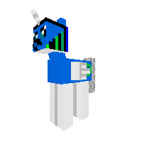 New Pony