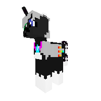 New Pony