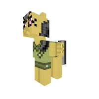 New Pony