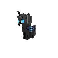 New Pony
