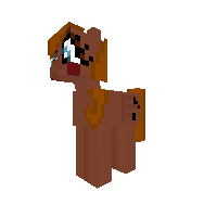 New Pony