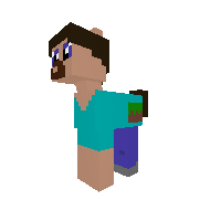 Steve Pony