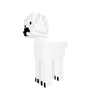 Poodle(Adult)