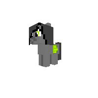 foal pony