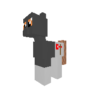 Marader2