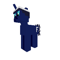 FaceBook pony