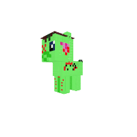 New Pony