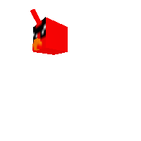 red bird