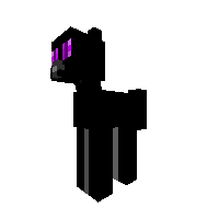 ENDERMAN PONY