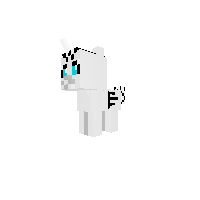 New Pony