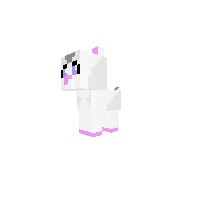 a winter white and cambelle hamster hybrid
