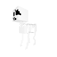 Skeleton