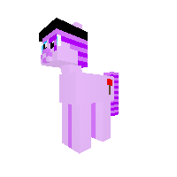 New Pony