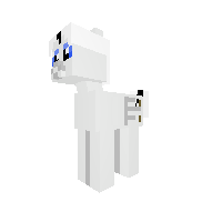 New Pony
