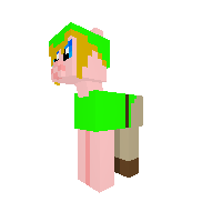 The legends of Zelda: Link