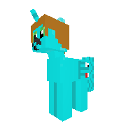 New Pony