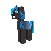 New Pony