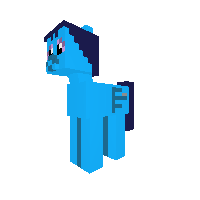 kamera poni