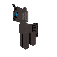 Night Pony