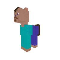 Steve Pony