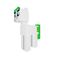 New Pony