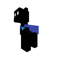 Black Pony