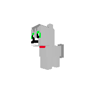 tim