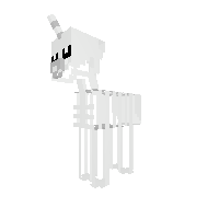 Skelet