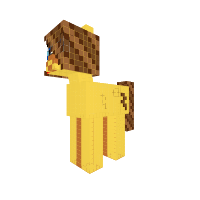 New Pony
