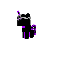 miss endern from pixle gun 3d multiplayer