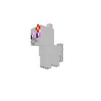 yt's cat normal