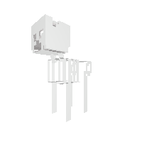 skeleton