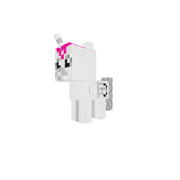 New Pony