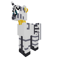 Zacora