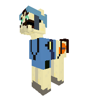 JakoxMyr Veteran Pony Fortress:GO