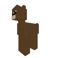 Grizzly Bear