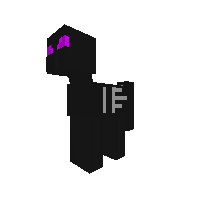 ender dragon