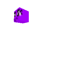 Head Box