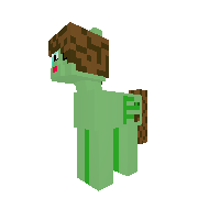 New Pony
