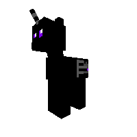 ENDER PONY