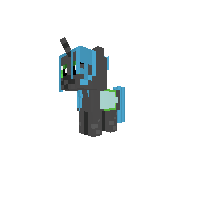New Pony